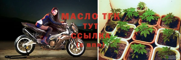 СК Богородицк