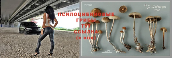 сатива Богородск