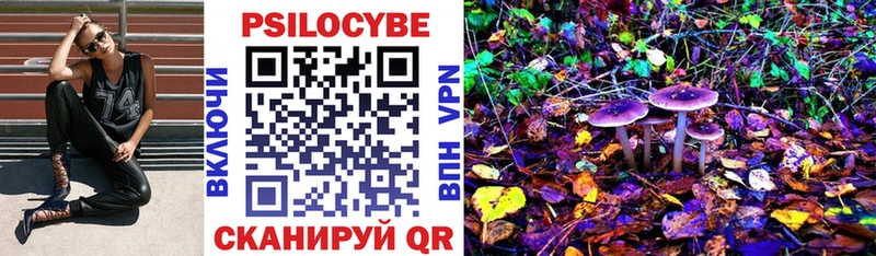 Псилоцибиновые грибы Psilocybe Сланцы